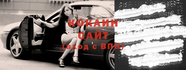 ПСИЛОЦИБИНОВЫЕ ГРИБЫ Арсеньев