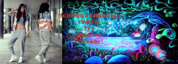 ПСИЛОЦИБИНОВЫЕ ГРИБЫ Арсеньев