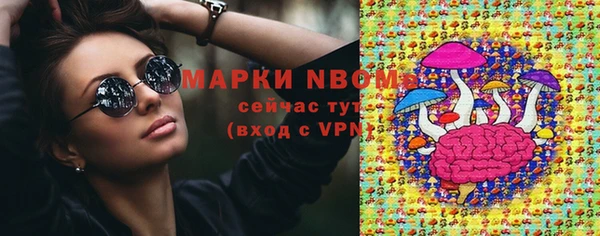 ПСИЛОЦИБИНОВЫЕ ГРИБЫ Арсеньев