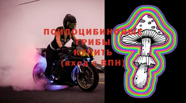 ПСИЛОЦИБИНОВЫЕ ГРИБЫ Арсеньев