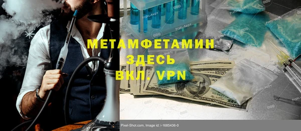 ПСИЛОЦИБИНОВЫЕ ГРИБЫ Арсеньев
