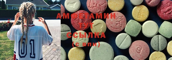 ПСИЛОЦИБИНОВЫЕ ГРИБЫ Арсеньев